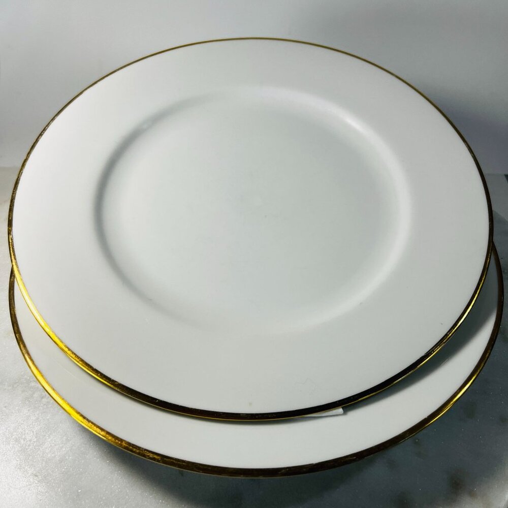 Porcelain Dinner Plates Pier 1 Set of 2 White Gold Rim‎ 10.25" Handpainted